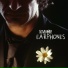 Earphones