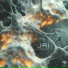Jai
