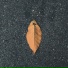 吴小迷