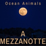 Ocean Animals