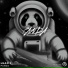 Lead J