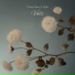 Lesfm, Piano Amor