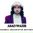 Asad Wazir