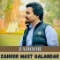 Zahoor