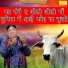 Narender Kaushik