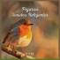 Sonidos De Pajaros
