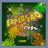BANDA EXPLOSÃO DO SOM