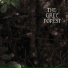 The Grey Forest