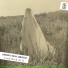 Markeny, Hilola Samirazar