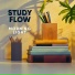 STUDY FLOW