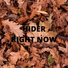 Hider