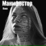 Манифестор