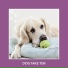 Dog Chill Out Music