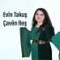 Evin Takuş