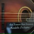 ETSU Mandolin Orchestra