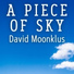 David Moonklus