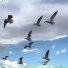 Markvard - Sky (iPleer.fm)