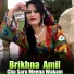 Brikhna Amil