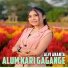 ALVI ANANTA