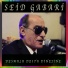 Seid Gabari