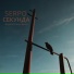 SERPO