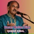 Qamar Iqbal