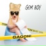 Gem Boy