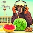 Schwarz & Funk, Melon Monkey Club