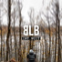 BLB