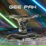 GEE PAX