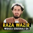 Raza Wazir