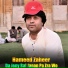 Hameed Zaheer