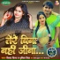 Vinay Virat, Punita Priya