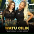 Shinta Gisul feat. Desi Afrika