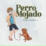 Fede Farrell