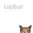 LapSus!