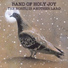 Band of Holy Joy