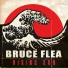 Bruce Flea