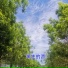 孙明浩, 清纯qy