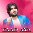 Zeeshan Rokhri