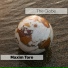 Maxim Tore