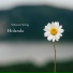 Vikranar String