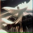 CLUB COMA