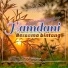Hamdani