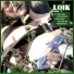 Loik
