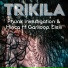 Phunk Investigation, Hinca feat. Gariloop, Eleili