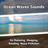 Wave Sounds, Ocean Sounds, Nature Sounds