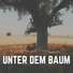 Naturgeräusche Meditationsmusik