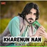 Ibrahim Naz