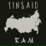 tinsaid